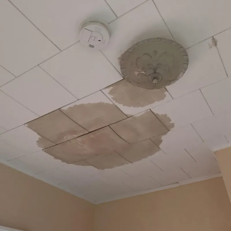 Ceiling Water Damage Repair in Finley, ND