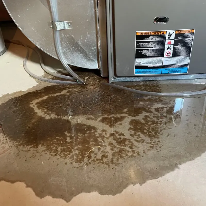 Pipe Burst and Leak Restoration in Finley, ND