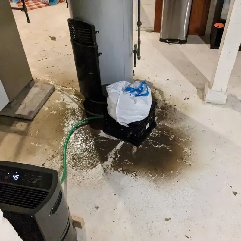 Sewage Backup Cleanup Service in Finley, ND
